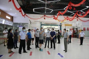 河南省疫情查询，最新动态与防控指南