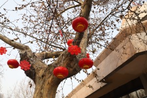 江苏省店铺挂起国旗，共克疫情难关