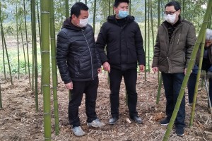 共筑防线，守护家园，福建疫情通知与云南最新消息