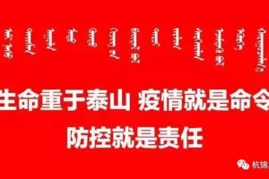 黑龙江省疫情防控总指挥部电话，守护北疆安全的生命热线