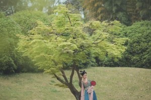 北京疫苗在成都如何预约？疫情期间接种全攻略