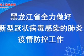 河南省疫情指挥部通告文件解读，防控措施、政策调整与公众应对指南