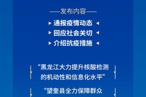 黑龙江省冠状肺炎疫情防控，挑战、应对与未来展望