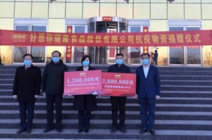 河南省疫情防控措施，科学精准施策，筑牢健康防线