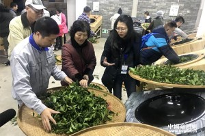 台胞在北京重要政策解析，融合发展的新机遇与未来展望