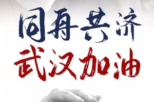 同舟共济，武汉与北京抗疫细则的比较与启示