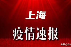 上海疫情防控通报，精准施策与全民共筑的防疫长城