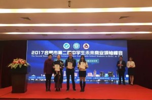 合肥市役情防控，挑战、应对与未来展望