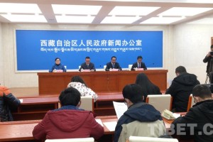 西藏自治区疫情防控办公室，高原上的健康守护者
