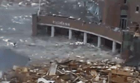 台湾地震伤亡人数，一场自然灾害的深刻影响