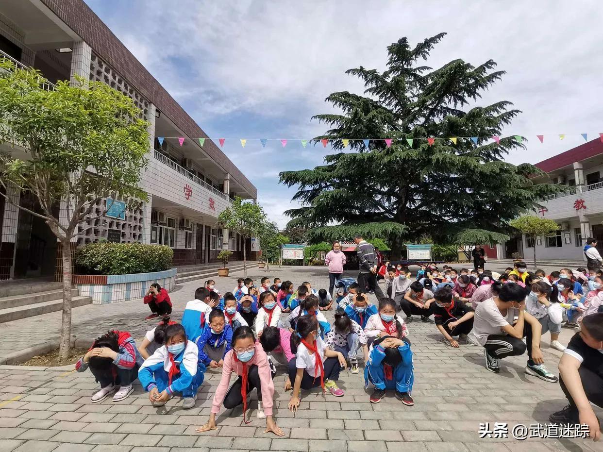 台湾地震最新消息今天实时，地震活动、影响及应对措施