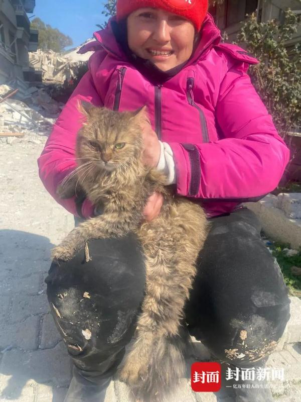 台湾地震，女子为救猫英勇牺牲，展现人性光辉