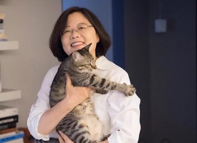 台湾地震，女子为救猫英勇牺牲，展现人性光辉
