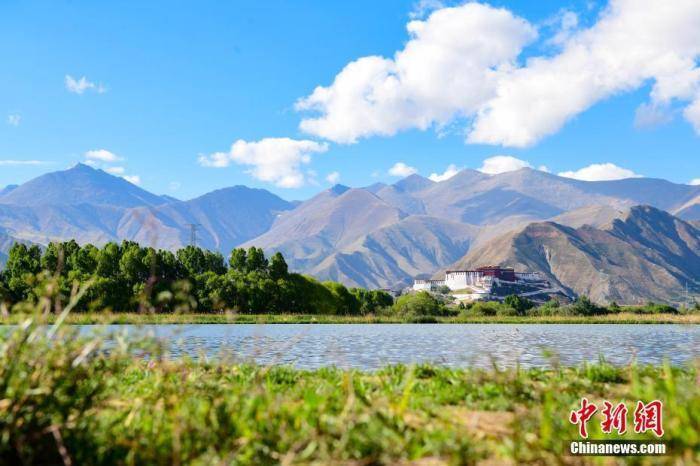 西藏自治区2021年防疫政策，精准施策，守护高原净土