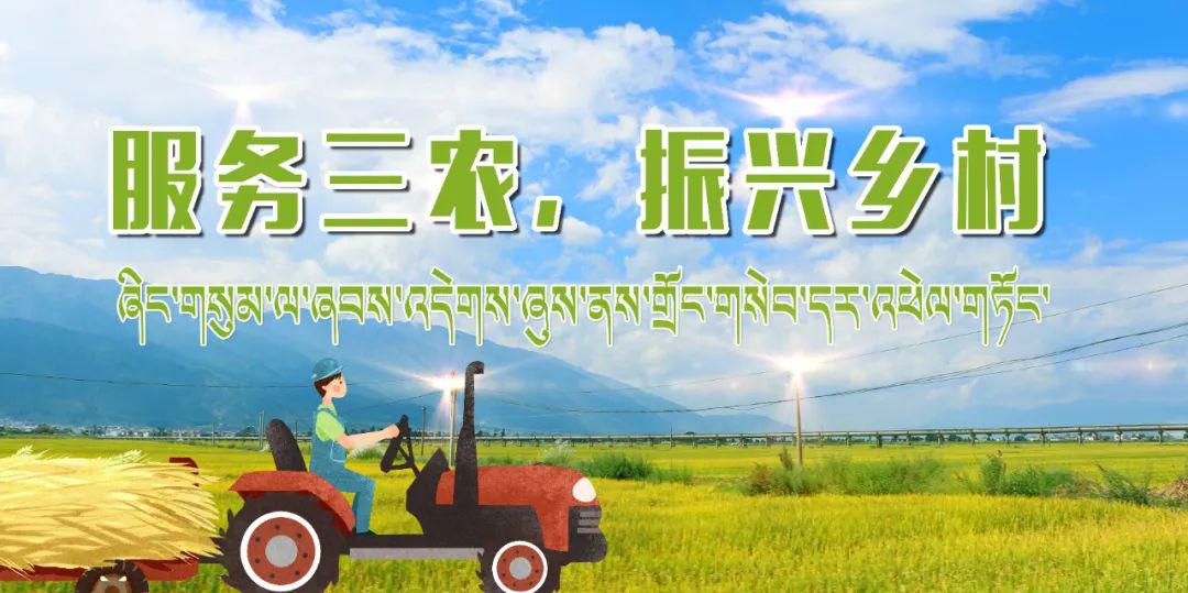 西藏自治区2021年防疫政策，精准施策，守护高原净土