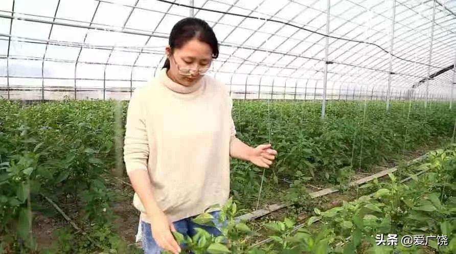 疫情下郑州大学生南昌返乡政策探析