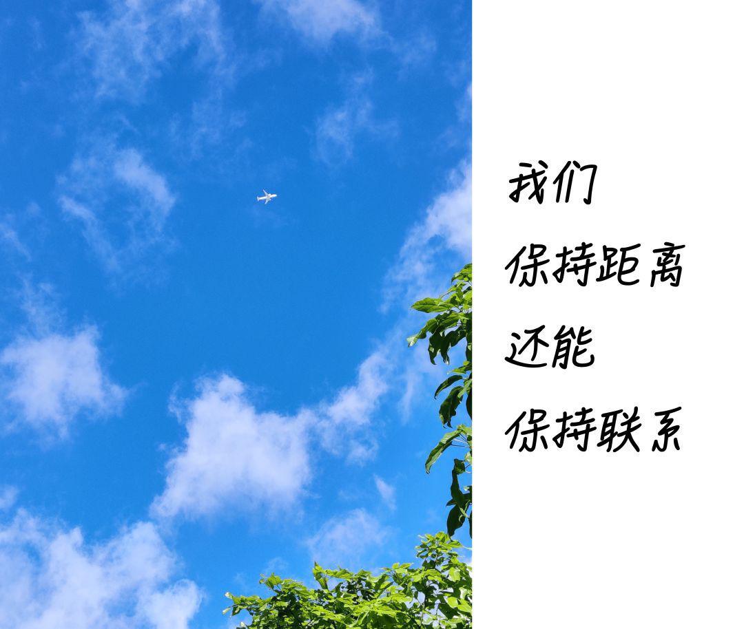 香港疫情有多少境外输入，全球流动下的挑战与应对