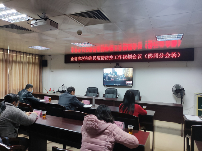 香港澳门疫情现状与防控措施