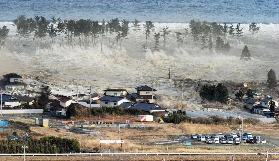 台湾地震海啸，自然灾害的警示与应对