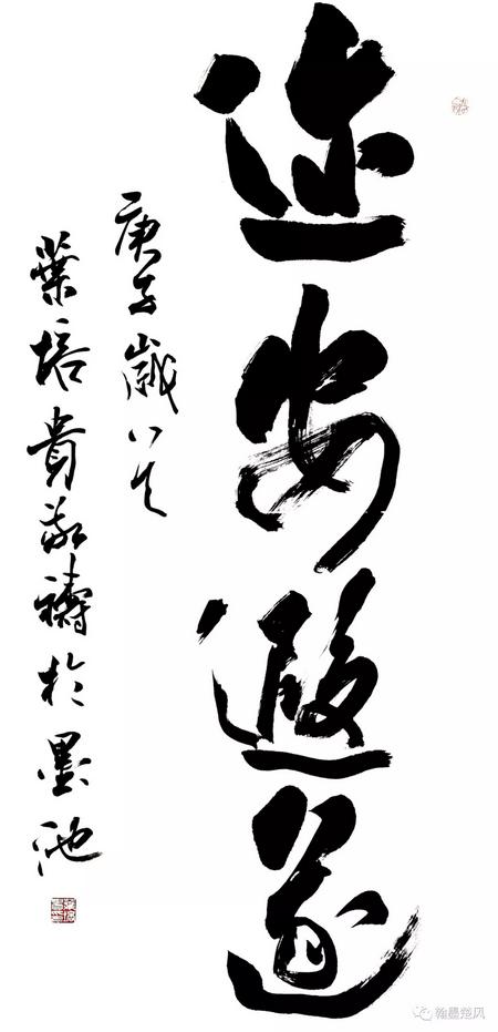 疫情下的石家庄，封城时刻与全民抗疫之路