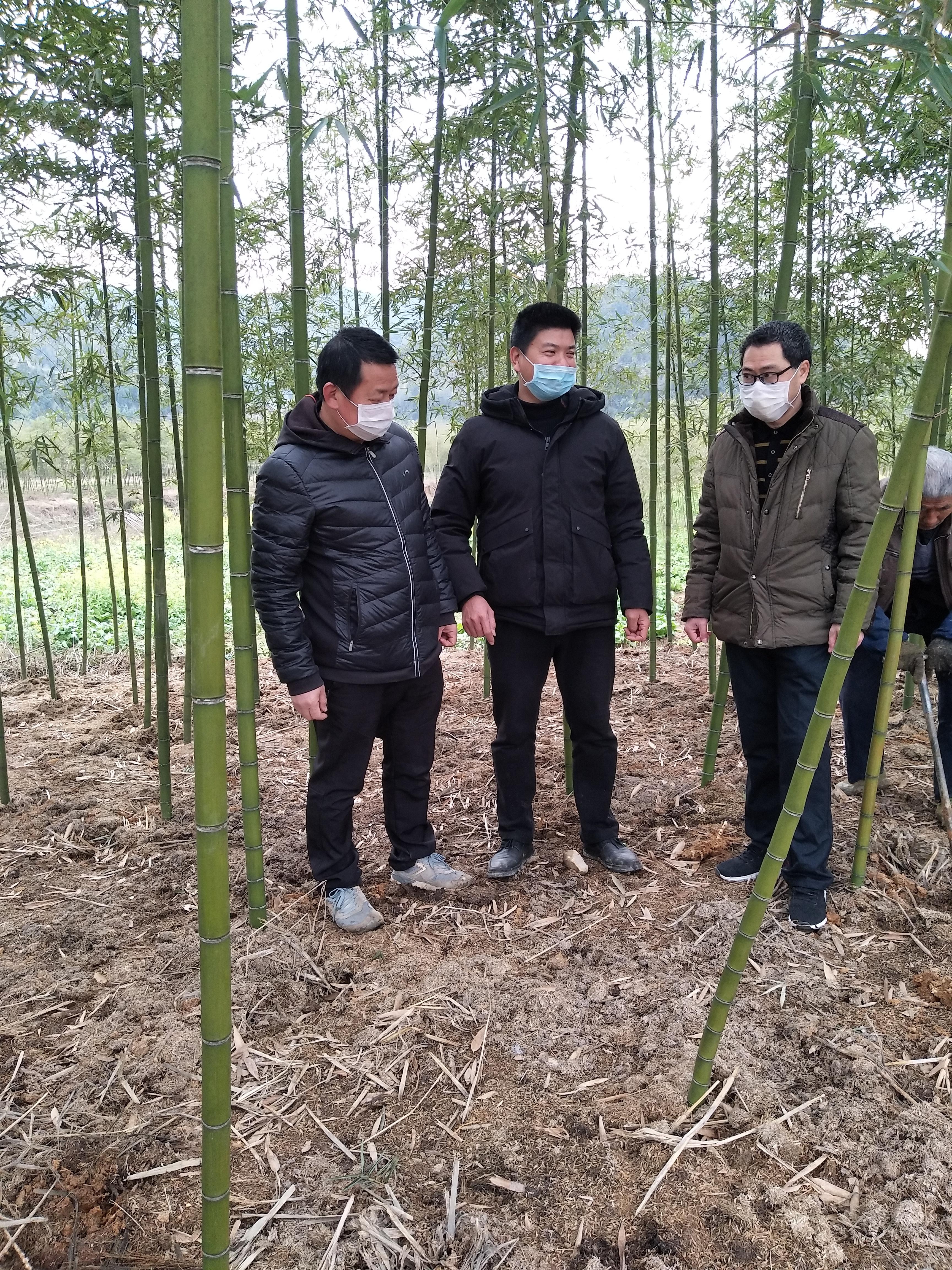 福建省疫情通知与云南省最新消息，共筑防线，守护家园