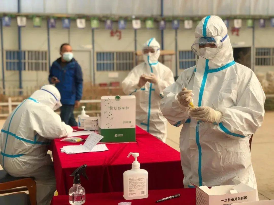 青海省疫情通知与重庆最新消息，共筑防线，守护家园