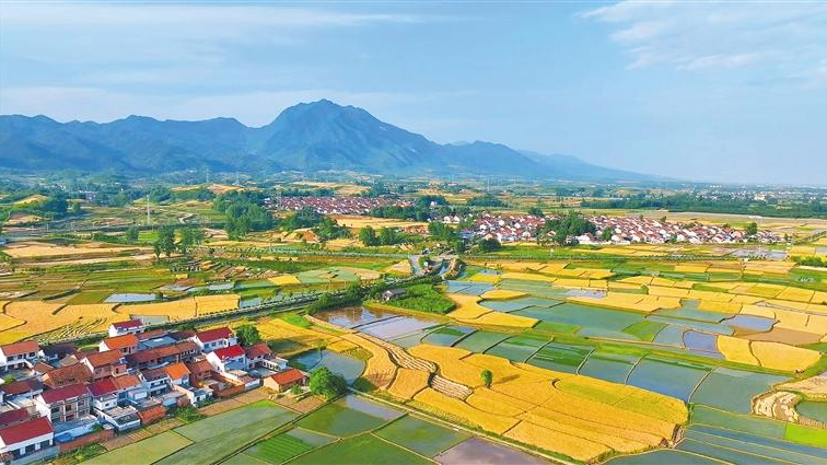 陕西省丰源新村，乡村发展的典范