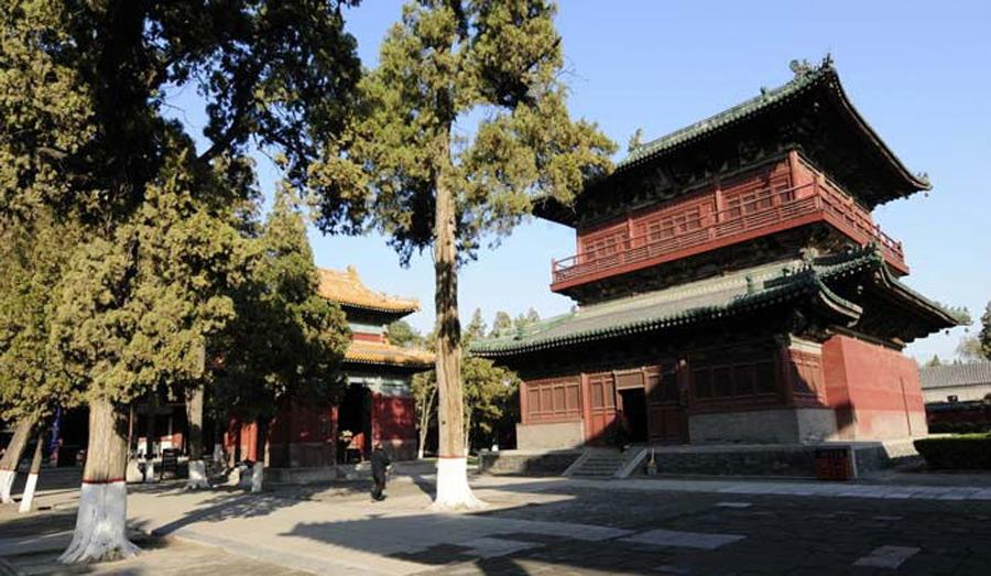 重庆市龙华区的崛起与未来展望