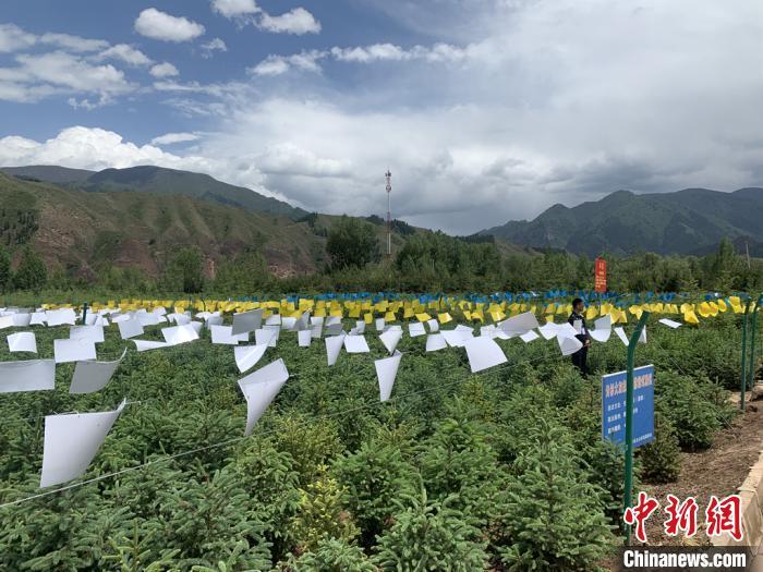青海省疫情管控与西安最新消息，联防联控守护边疆安宁