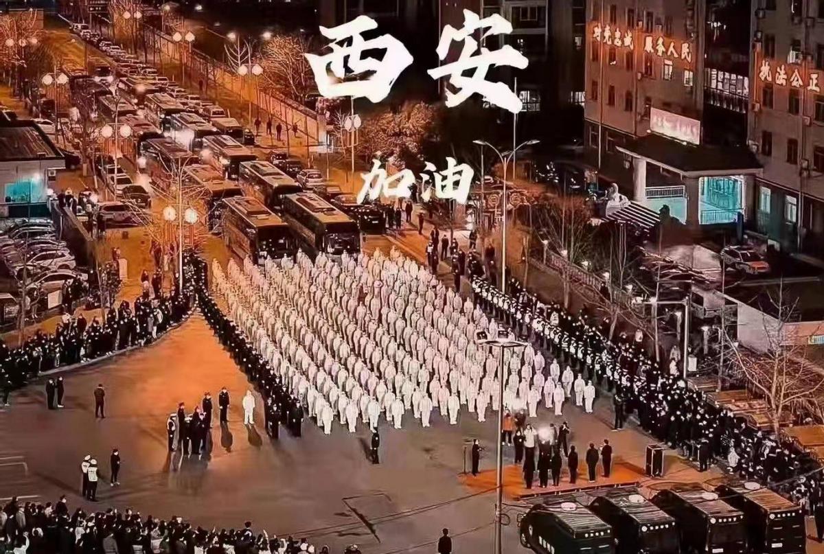 青海省疫情报告与重庆最新消息，两地共守，共克时艰
