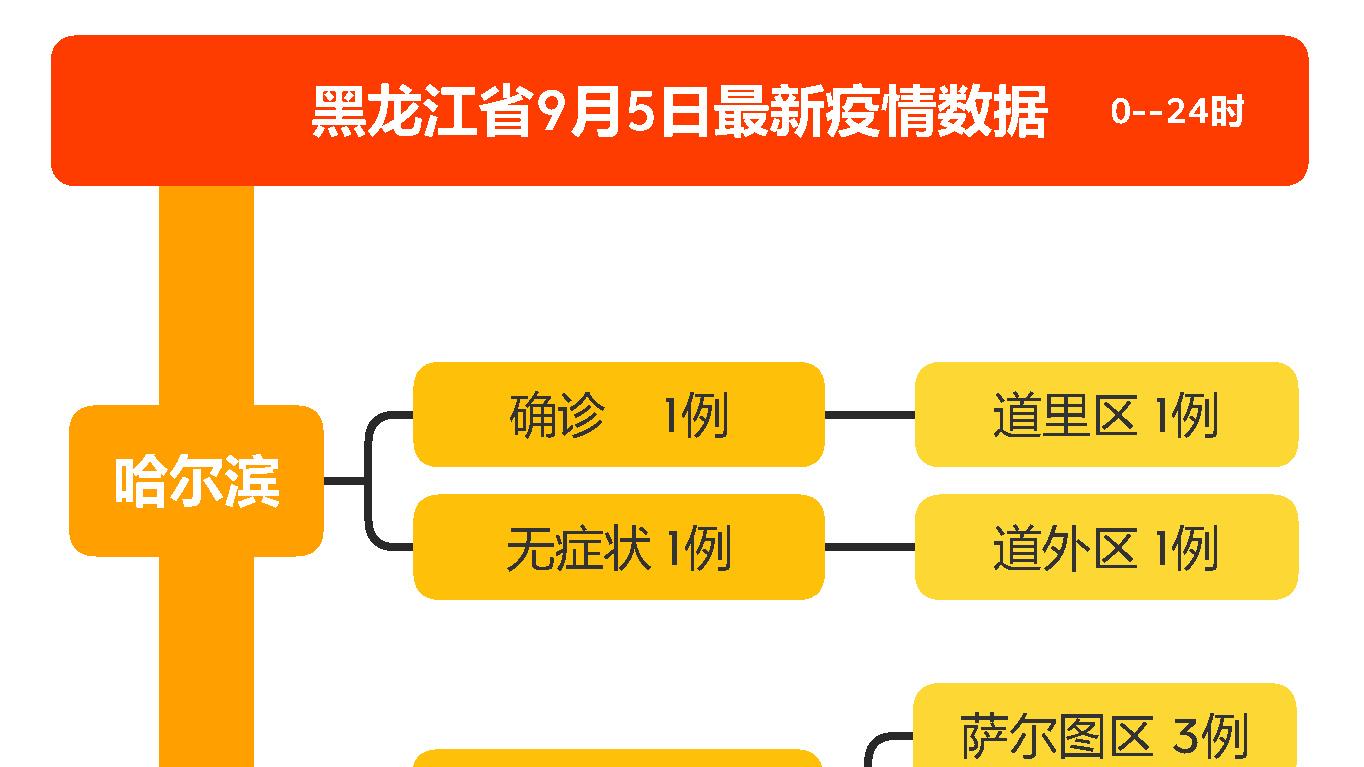 黑龙江省疫情结束时间的预测与防控策略探讨