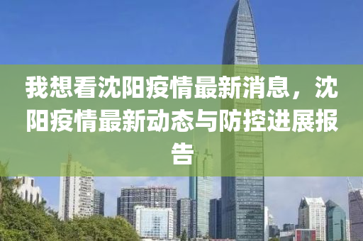 沈阳市疫情防控情况，措施、成效与未来展望