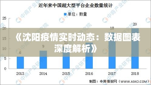沈阳市疫情发展情况分析与防控策略探讨