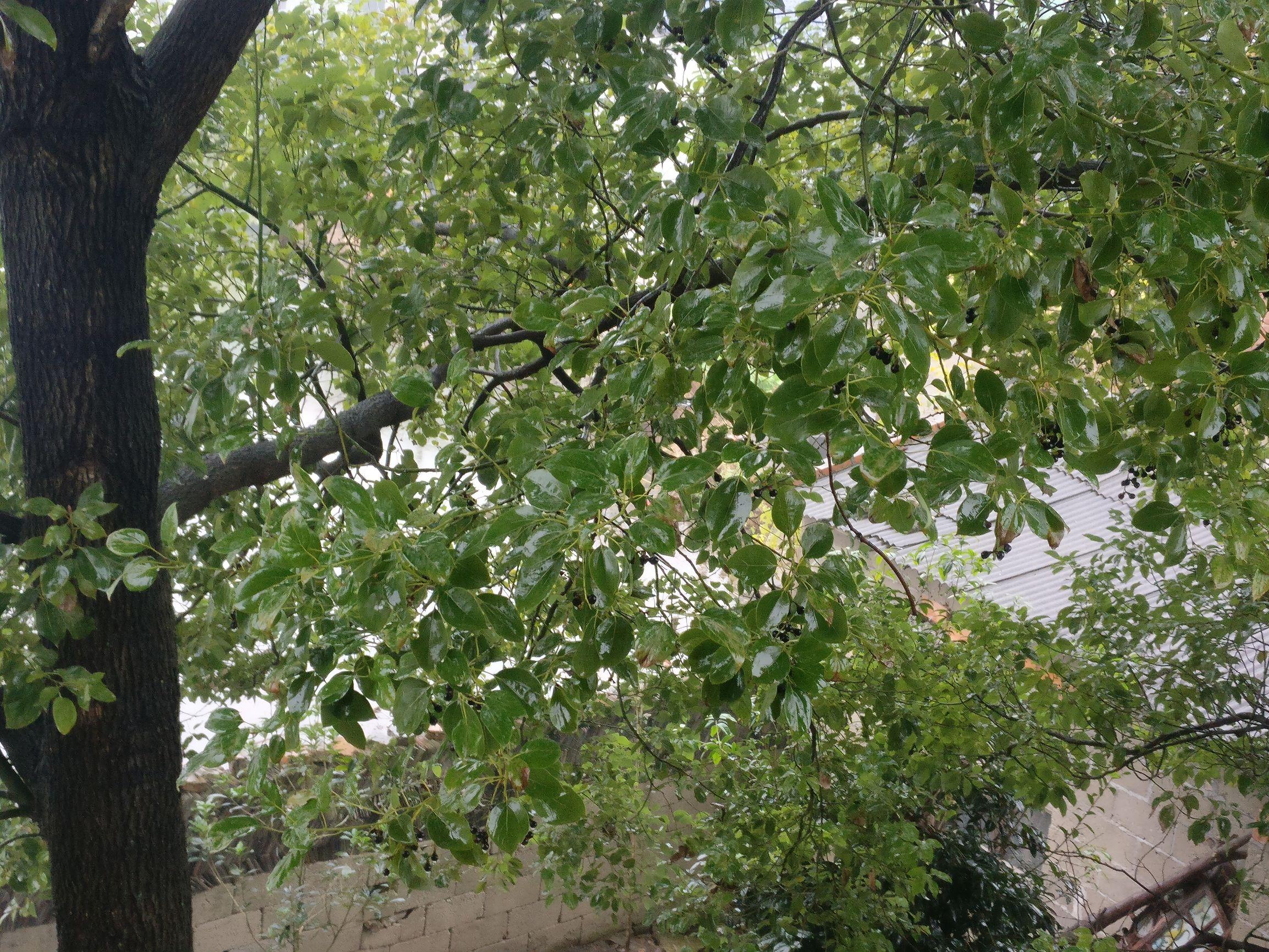 南昌到杭州高速，便捷交通与经济纽带