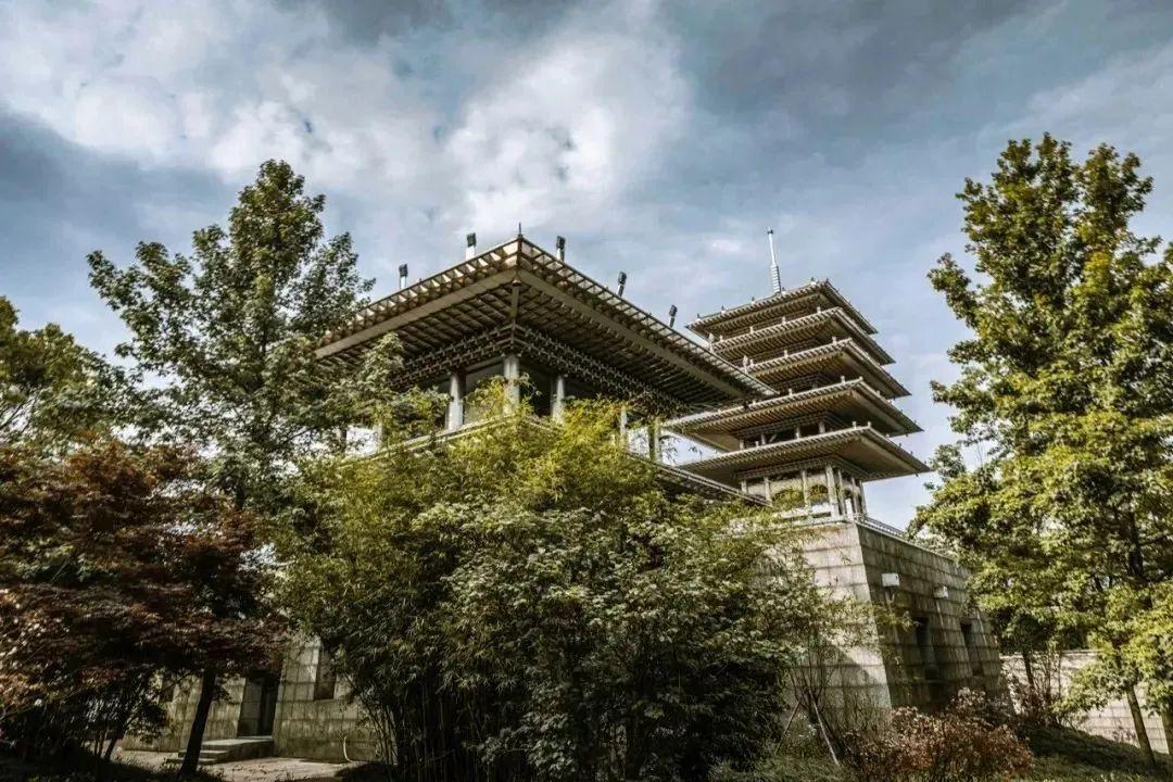 杭州疫情下的牙科医疗，挑战与应对