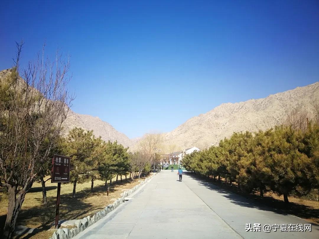 广州最新传染疫情与银川防疫政策，应对与挑战