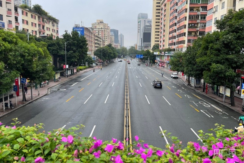 广州最新新增病例，疫情动态与防控措施全面解析