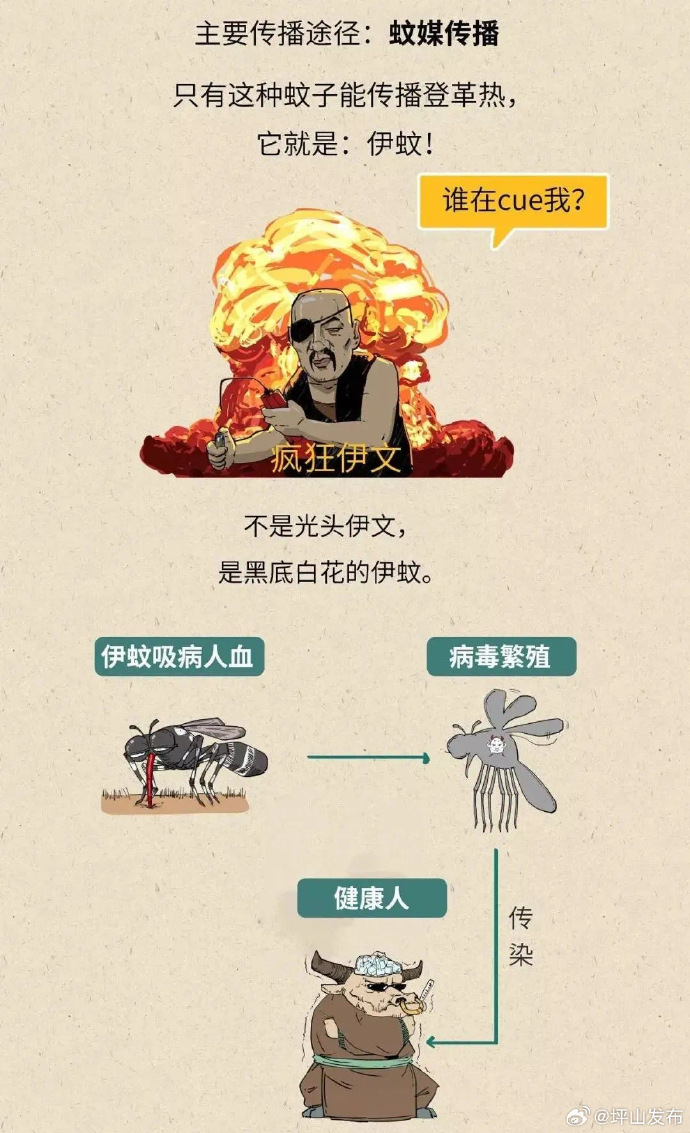 广州2024年12月登革热疫情，防控挑战与应对策略