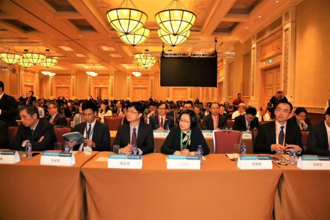 澳门疫情管控政策与台北最新消息，两地防疫措施对比分析