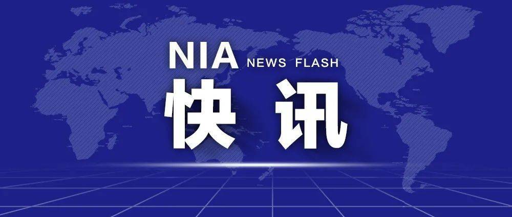 澳门疫情新政与上海防疫政策对比，探索疫情防控的一国两制实践