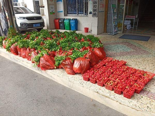 河南省疫情指挥部发布最新通告，长沙防控措施同步升级引关注