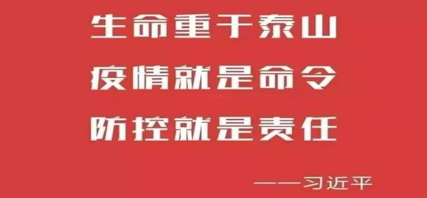 河南省疫情防控办官网，权威信息发布与便民服务的重要平台