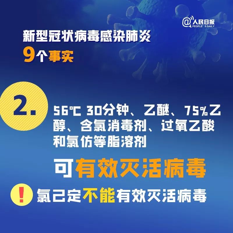 北京机场疫情防控咨询电话，全面指南与实用信息