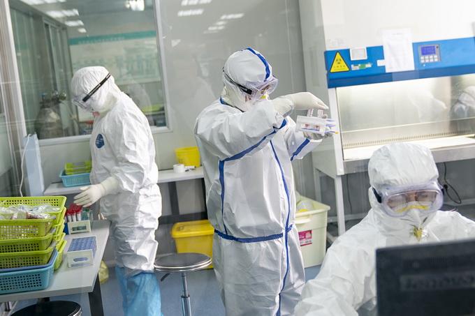 河南省疫情最新消息，新增病例情况及防控措施分析