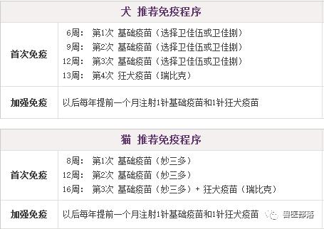 疫情下的疫苗接种，北京疫苗是否可在西宁接种？全面解析与实用指南
