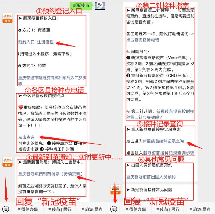 重庆疫苗通告，最新政策解读与接种指南