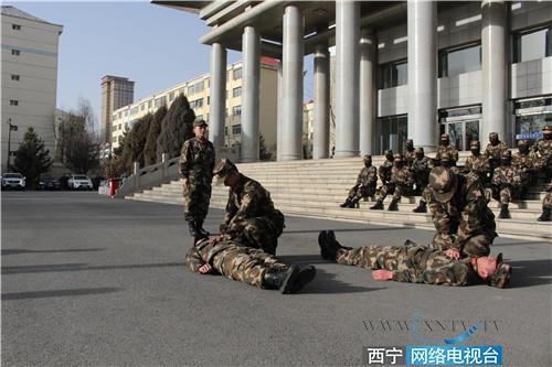 疫情最新动态，北京防控升级与西宁应对措施解析