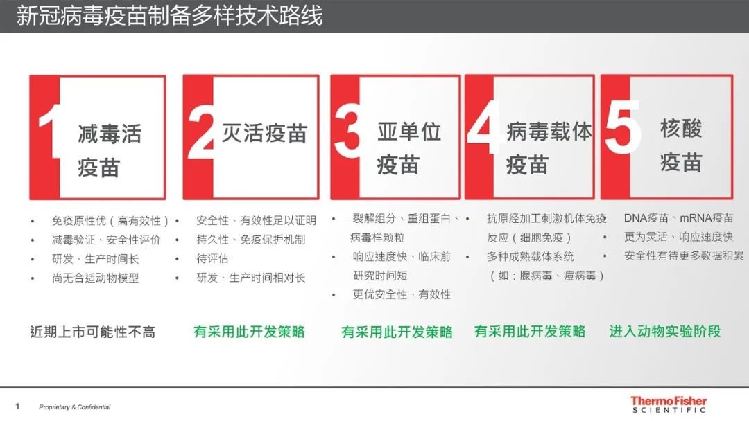 北京的疫苗是灭活的吗？全面解析中国新冠疫苗技术路线