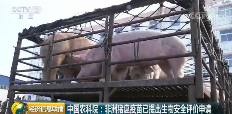 哈尔滨疫苗事件与北京生物，疫苗安全与公众信任的考验