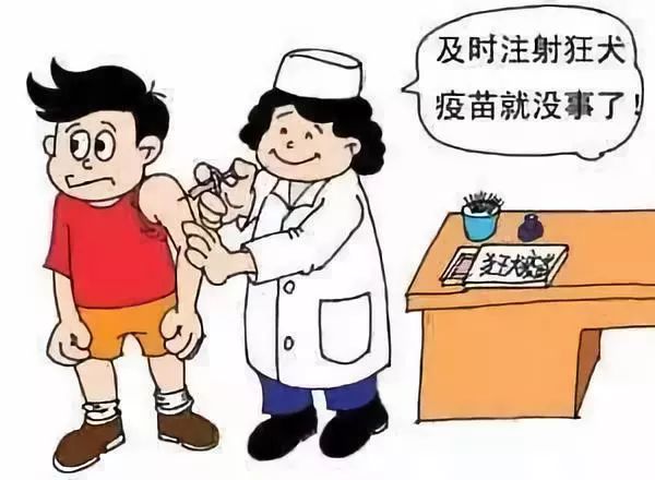 沈阳解封时间及相关防疫措施回顾